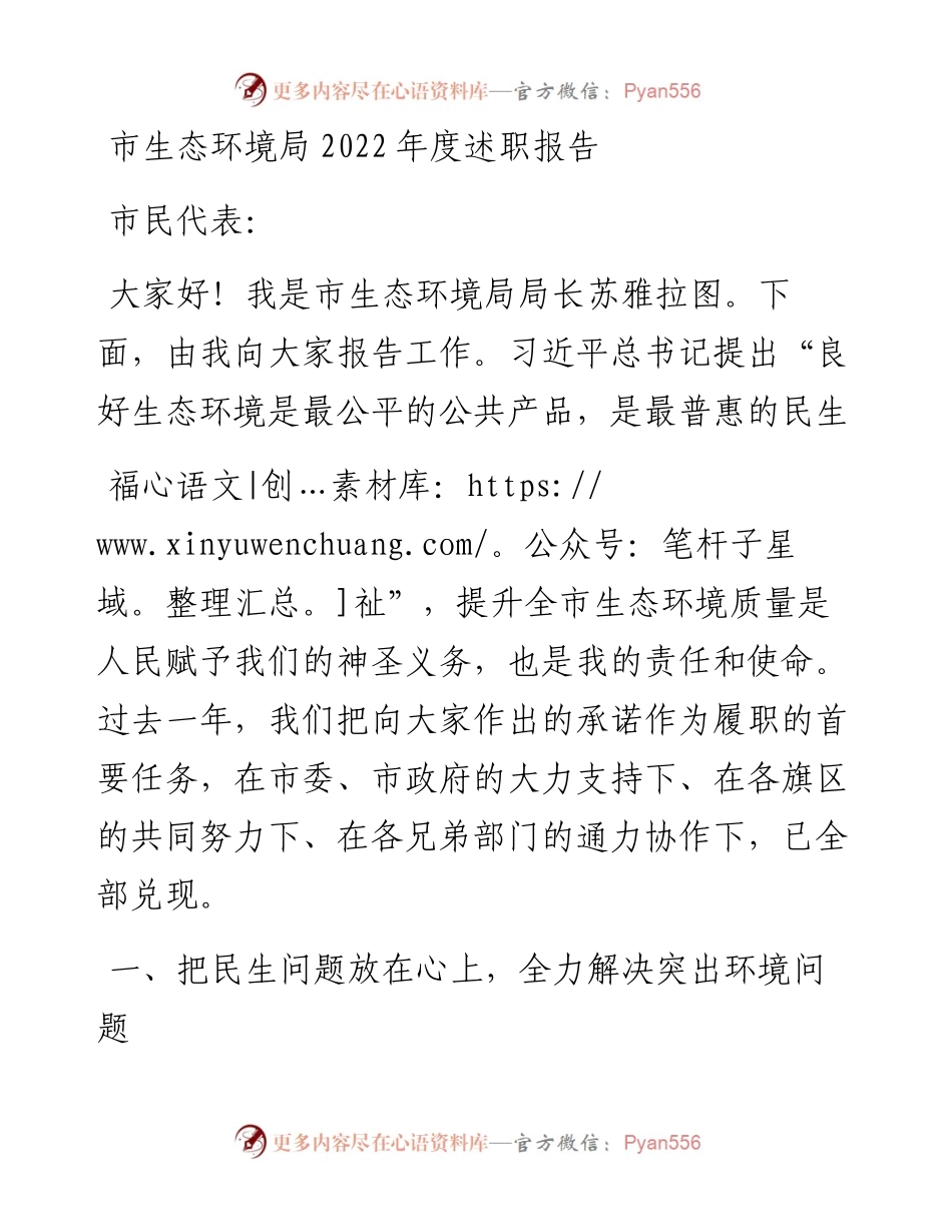 市生态环境局度述职报告.docx_第1页