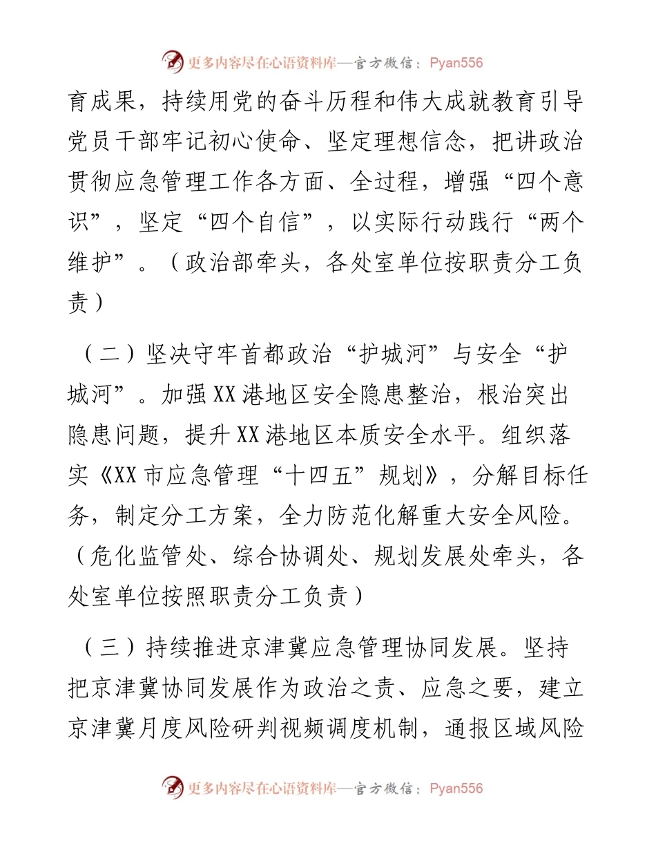 市应急管理局工作要点.docx_第2页