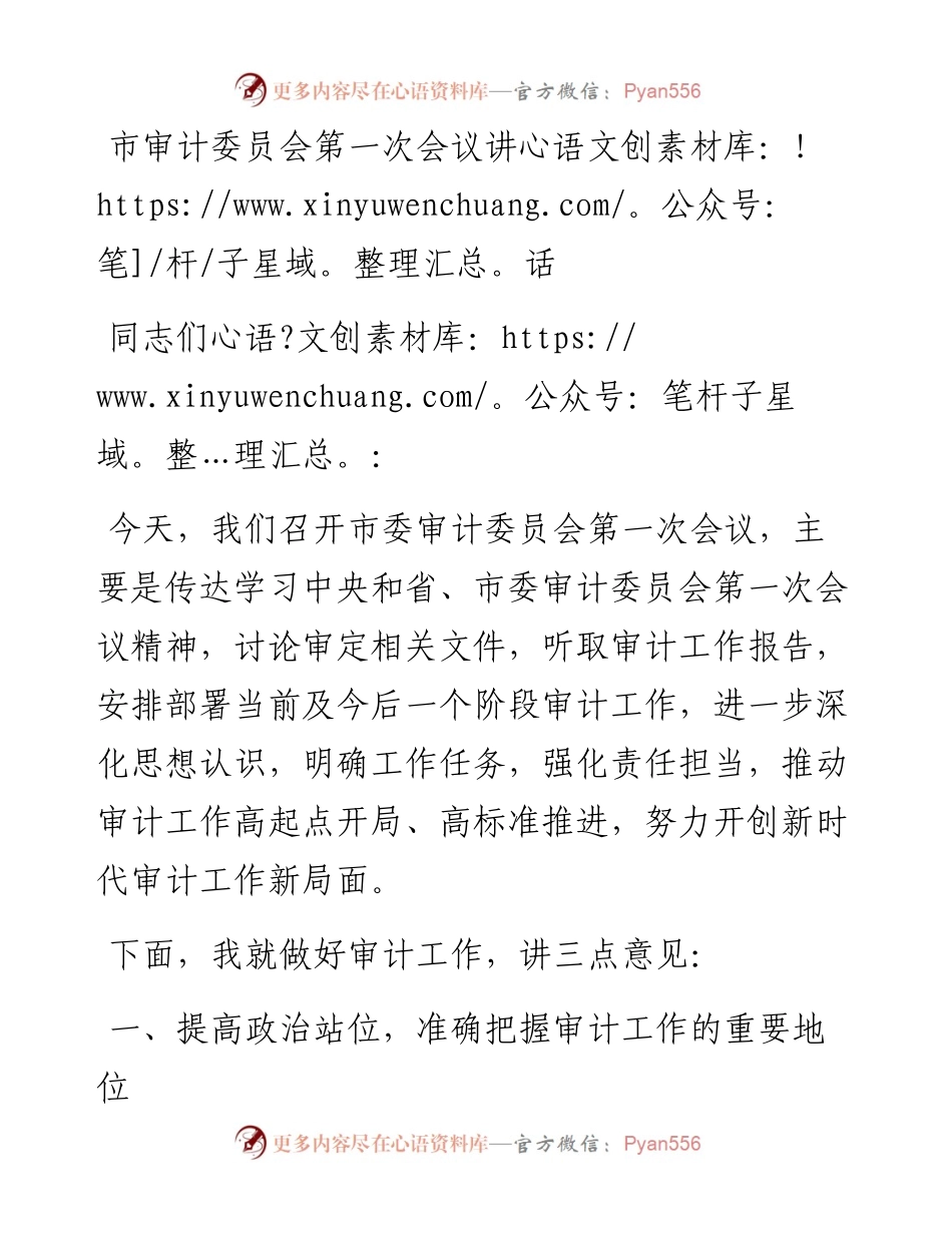 市审计委员会第一次会议讲话.docx_第1页
