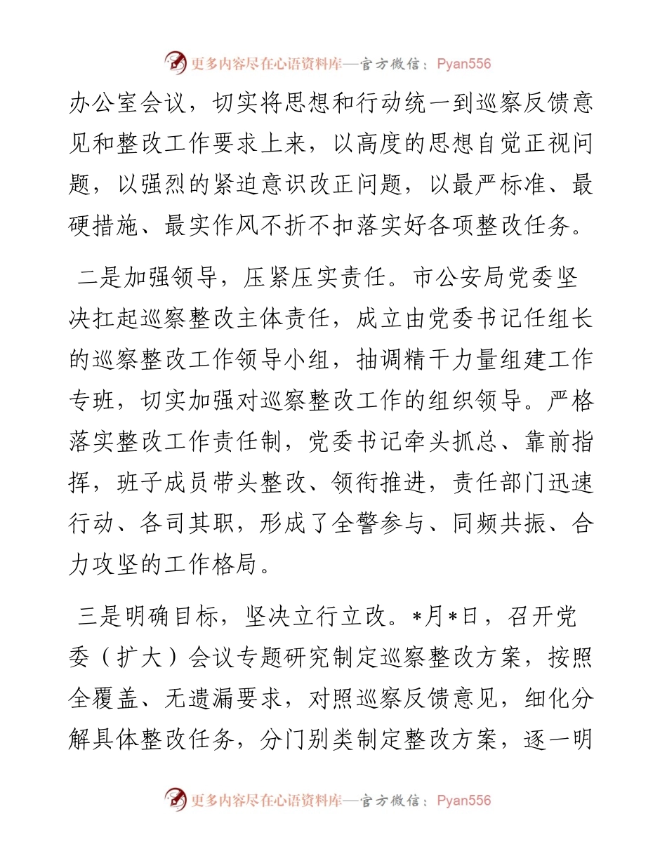 市公安局党委巡察整改进展情况通报.docx_第2页