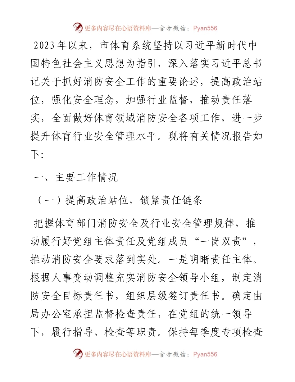 市体育局关于2023年度消防安全工作落实情况的总结报告.docx_第1页