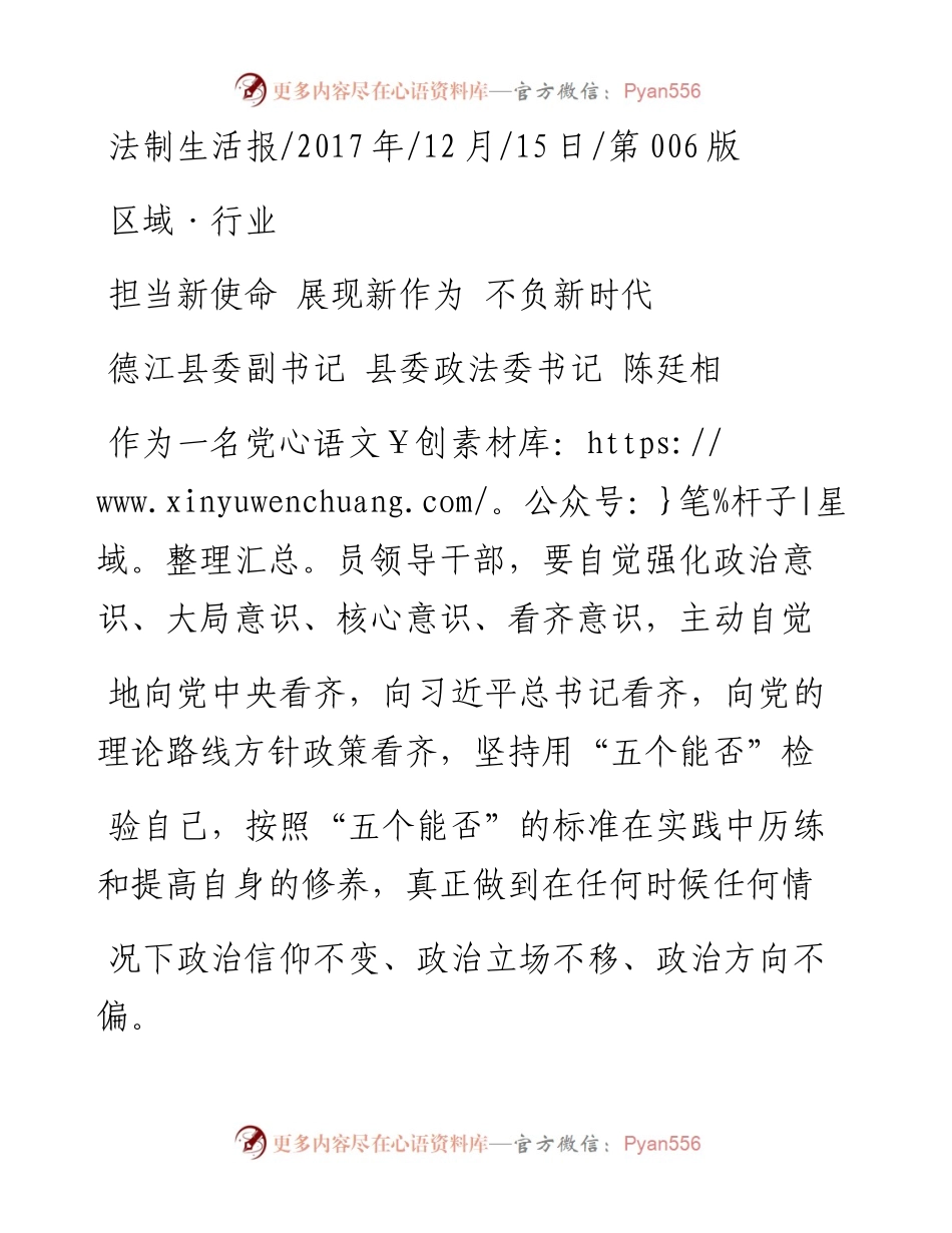 担当新使命  展现新作为  不负新时代_陈廷相.docx_第1页