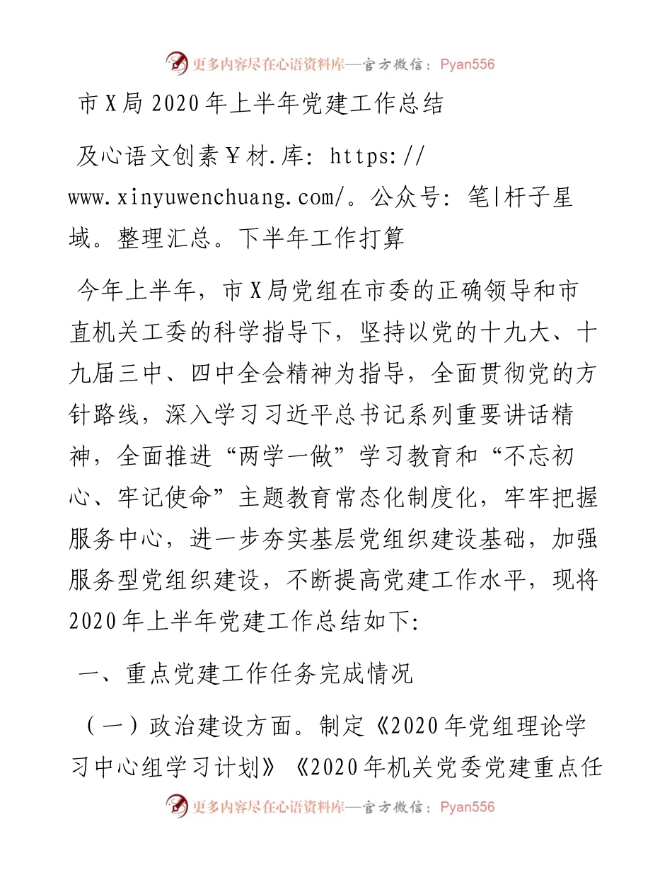 市局上半年党建工作总结及下半年工作打算.docx_第1页