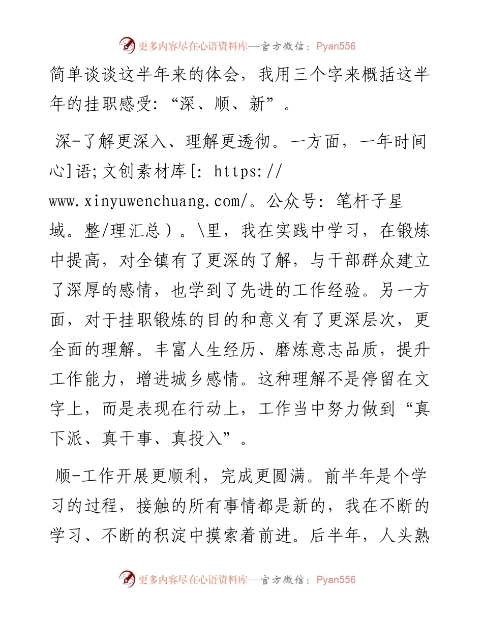 挂职干部座谈会讲话稿（三）(1).docx_第2页