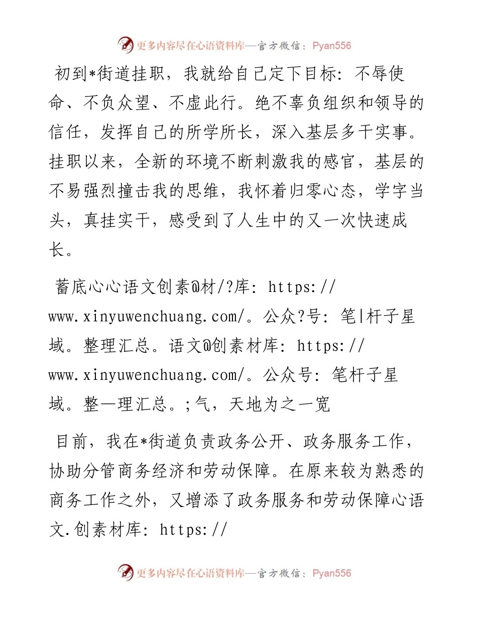 挂职干部座谈发言： 不辱使命磨砺成长.docx_第1页