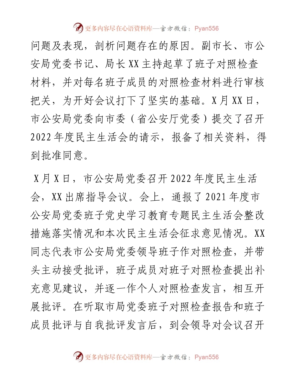 市公安局党委度民主生活会情况报告.docx_第2页