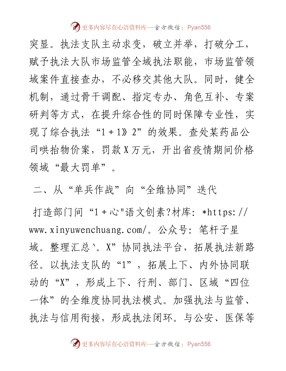 市场监管综合行政执法支队工作经验材料.docx_第2页