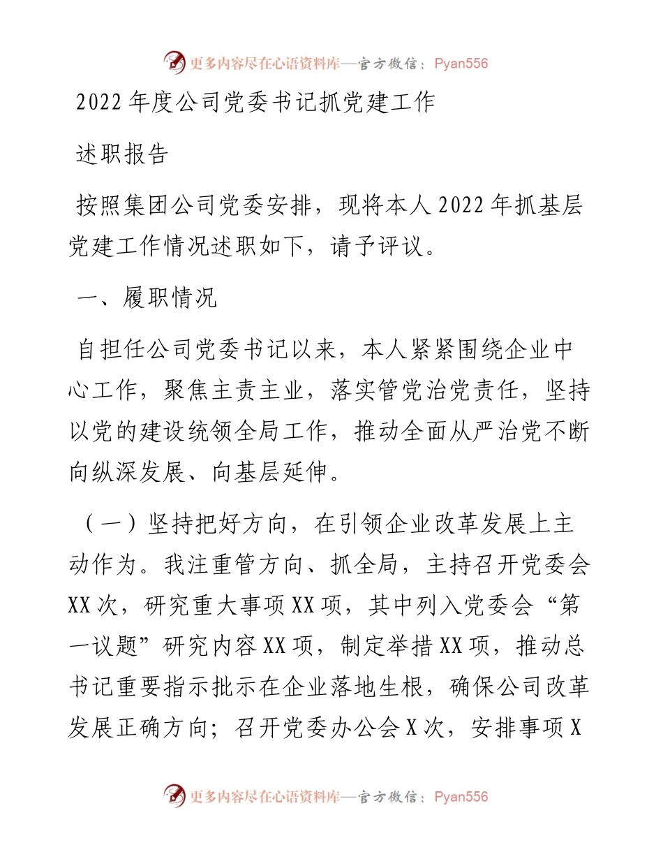 度公司党委书记抓党建工作述职报告.docx_第1页