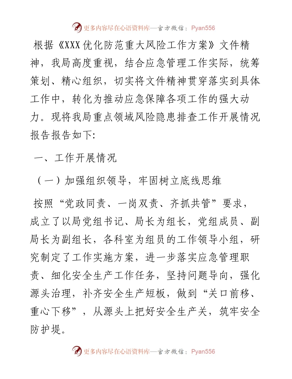 市应急管理局关于重点领域风险隐患排查工作开展情况报告.docx_第1页