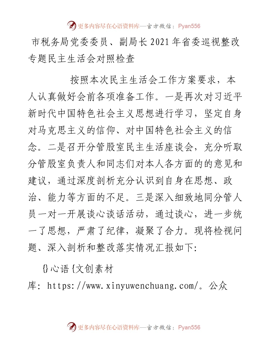市税务局党委委员、副局长省委巡视整改专题民主生活会对照检查.docx_第1页