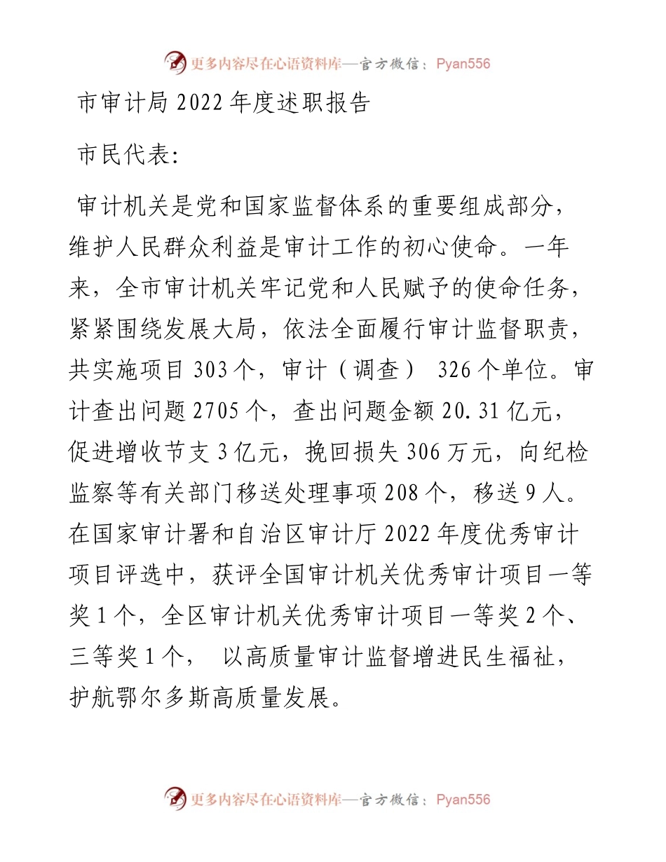 市审计局度述职报告.docx_第1页