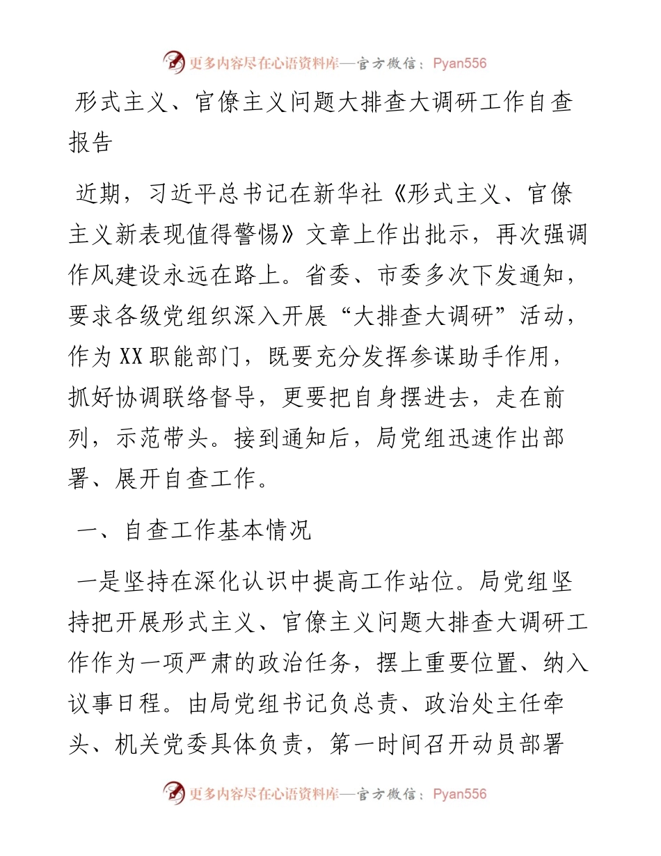 形式主义、官僚主义问题大排查大调研工作自查报告.docx_第1页