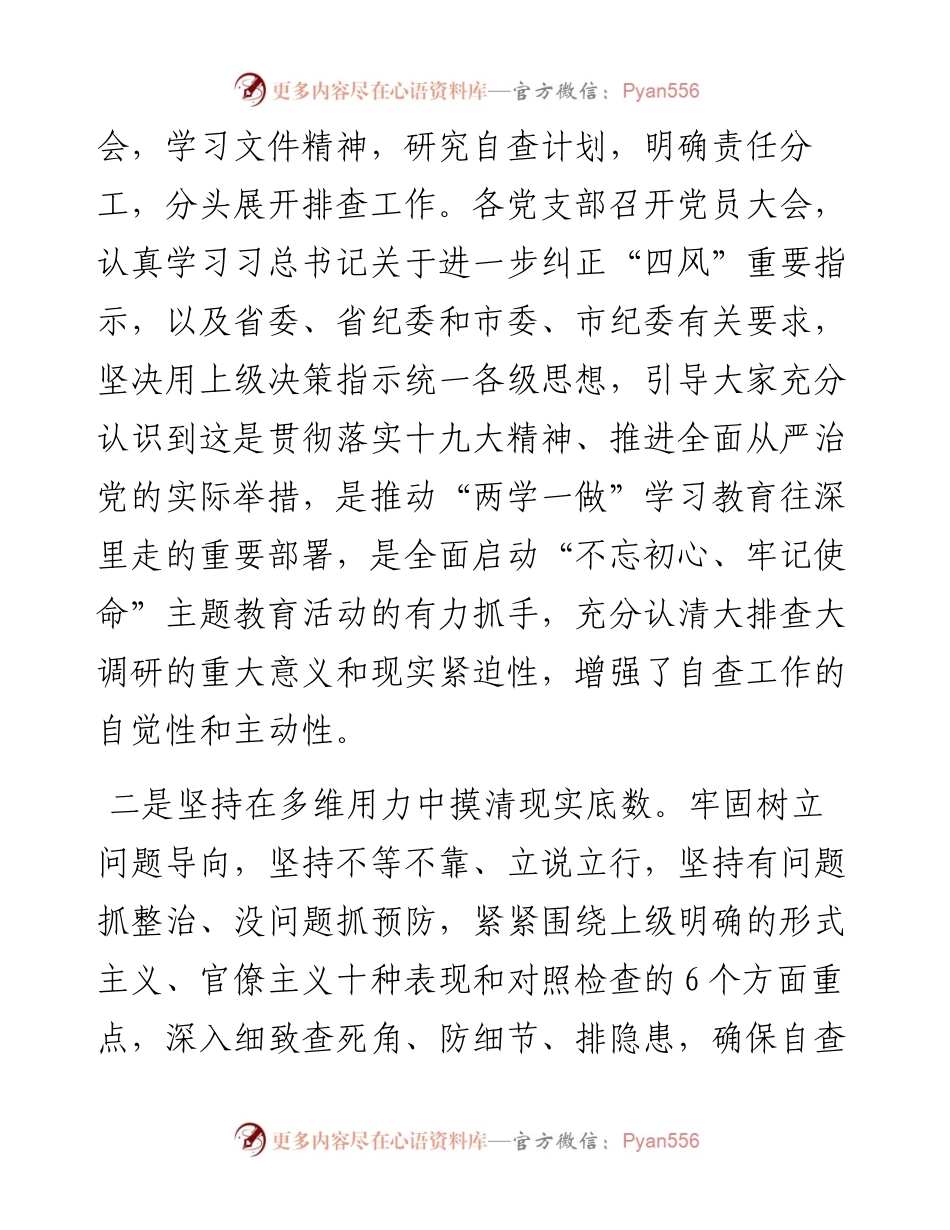 形式主义、官僚主义问题大排查大调研工作自查报告.docx_第2页