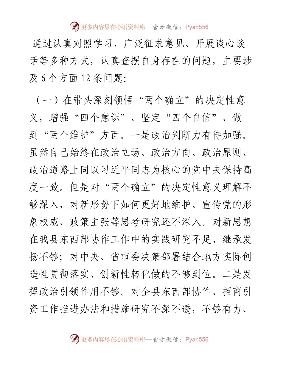 挂职副县长度民主生活会发言提纲.docx_第2页