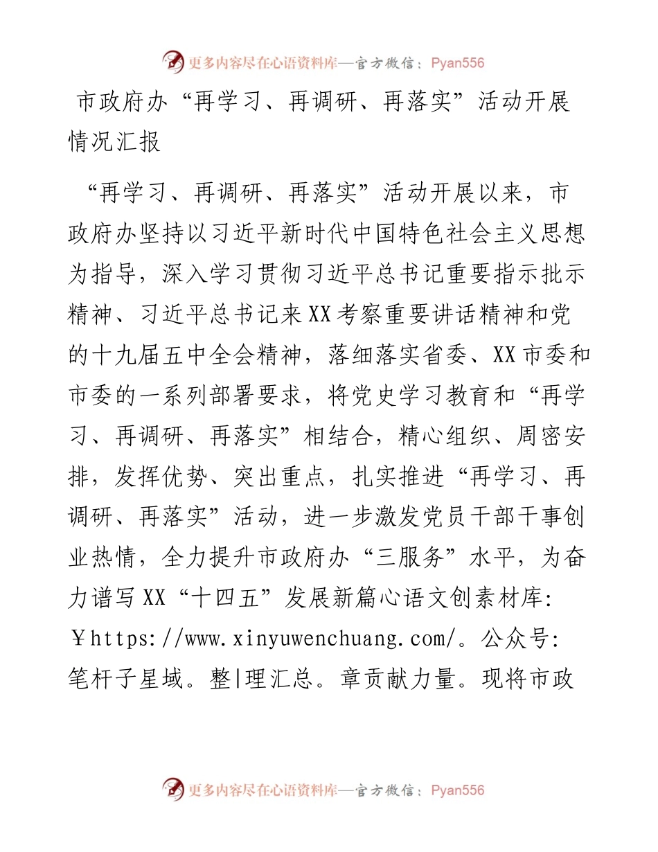 市政府办“再学习、再调研、再落实”活动开展情况汇报.docx_第1页