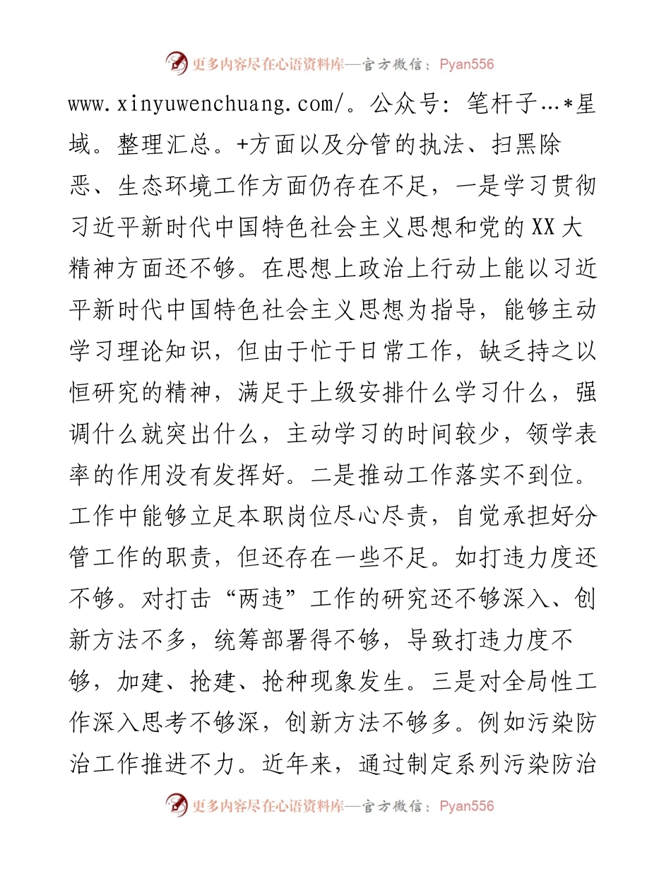 政法委书记落实市委巡察组反馈意见整改专题民主生活会发言提纲.docx_第2页