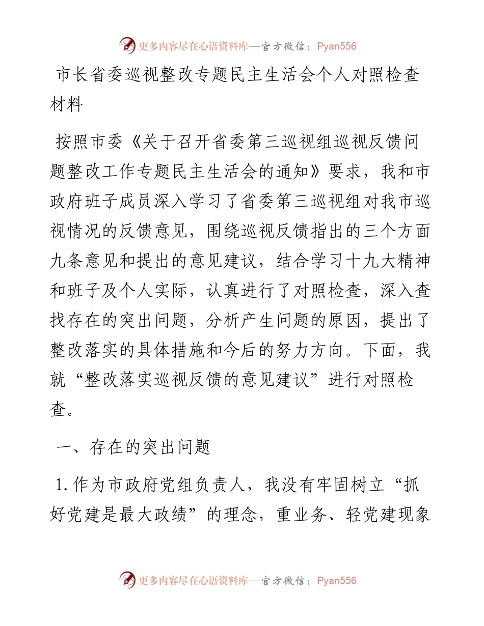 市长省委巡视整改专题民主生活会个人对照检查材料.docx_第1页
