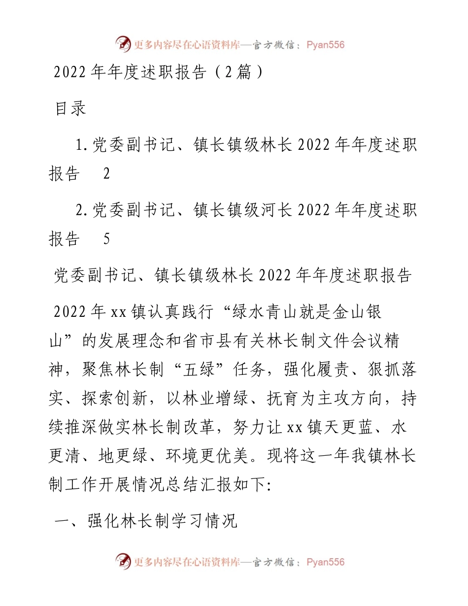 年度述职报告（2篇）.docx_第1页