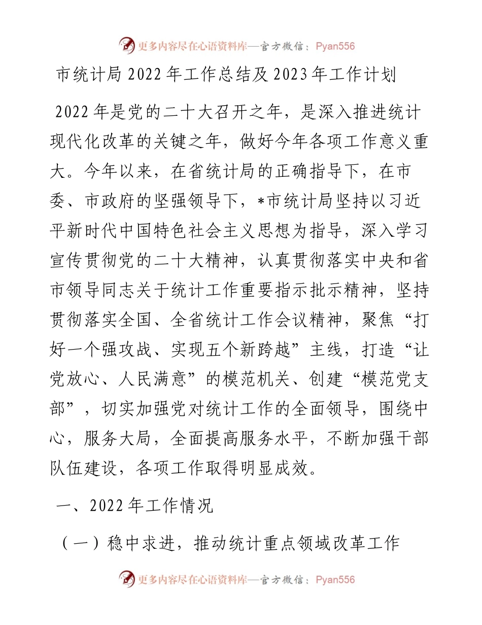 市统计局工作总结及2023年工作计划.docx_第1页