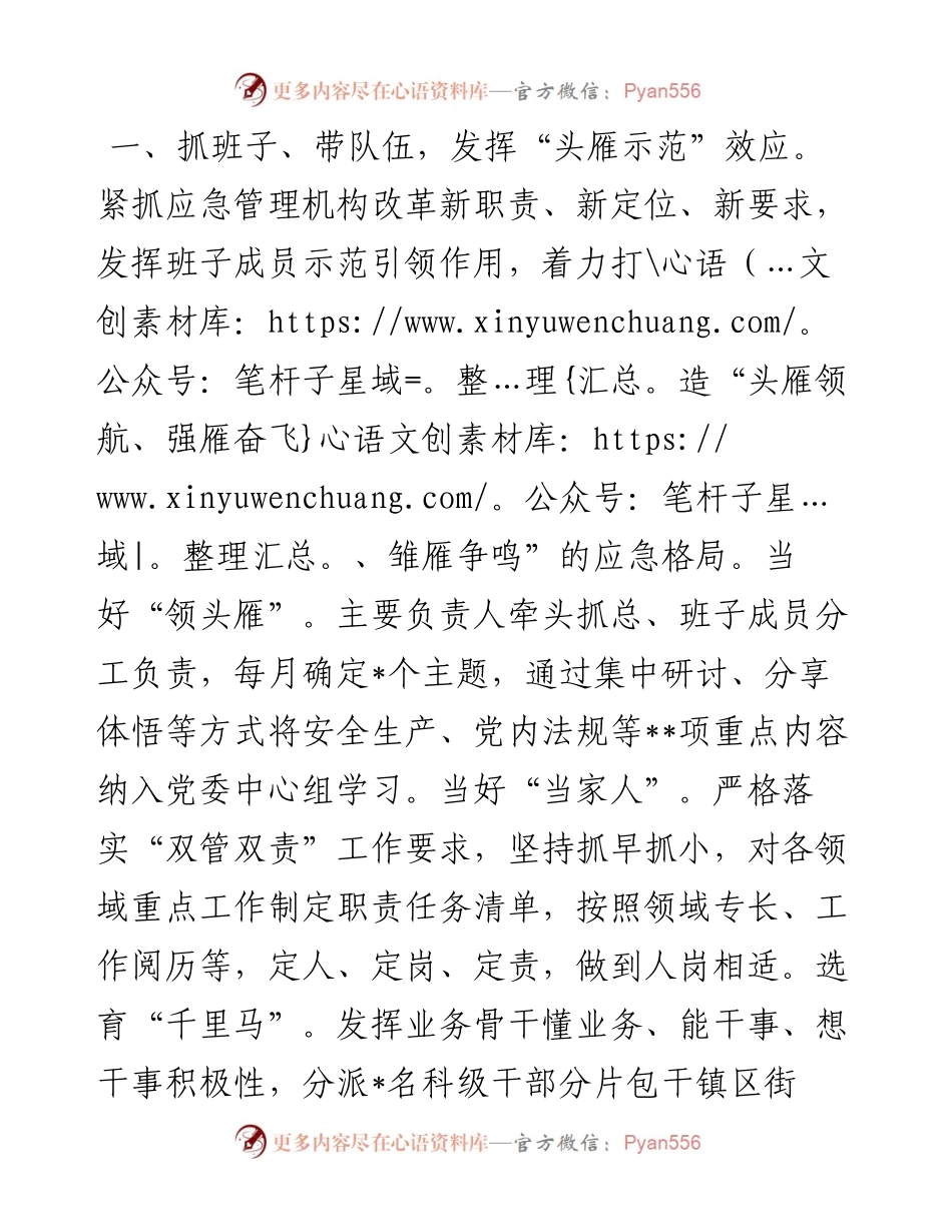 市应急局经验做法： 发挥“头雁”效应 激发“赛马”活力 打造“防控”屏障.docx_第1页
