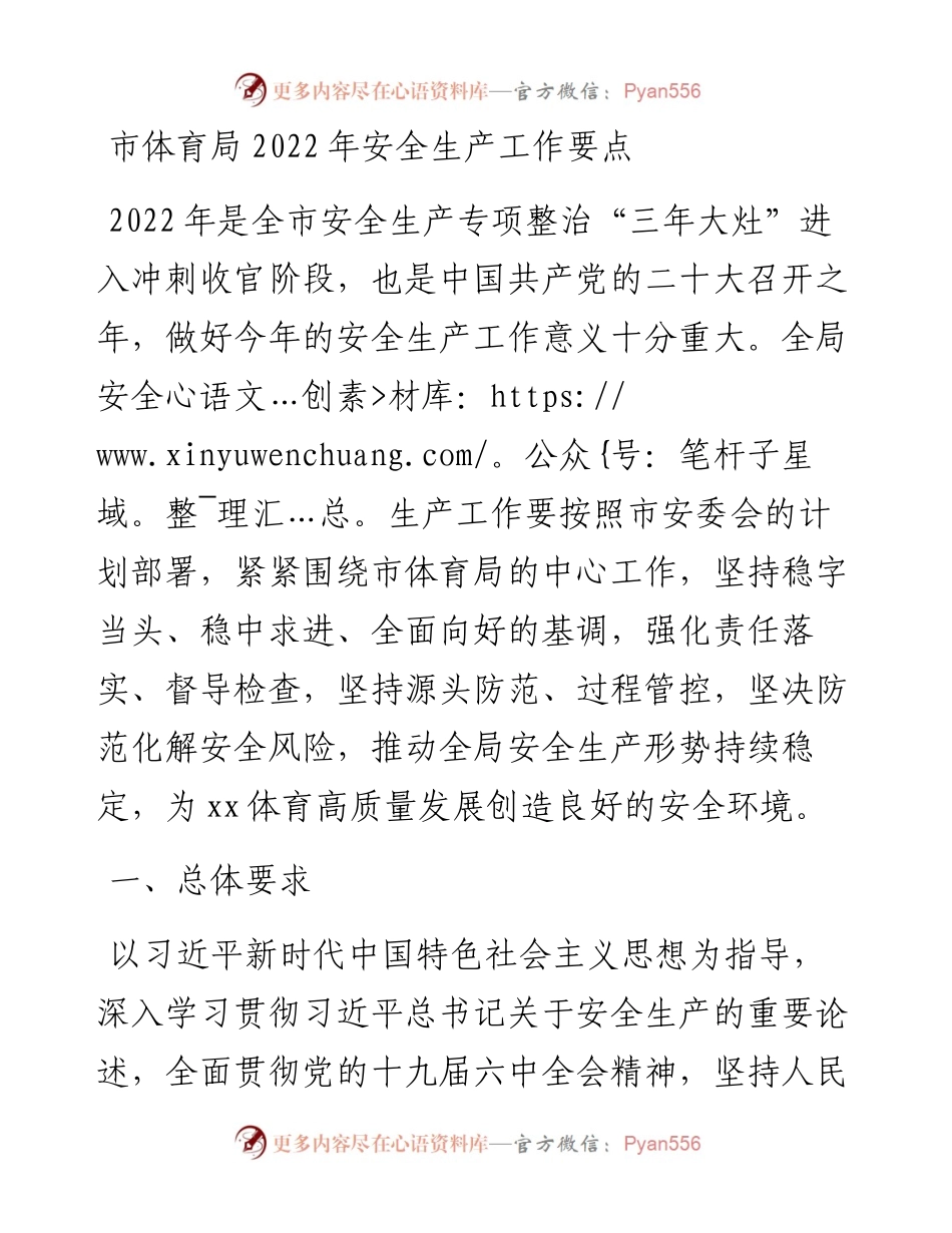 市体育局安全生产工作要点.docx_第1页