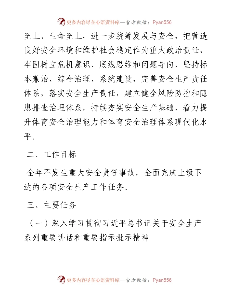 市体育局安全生产工作要点.docx_第2页