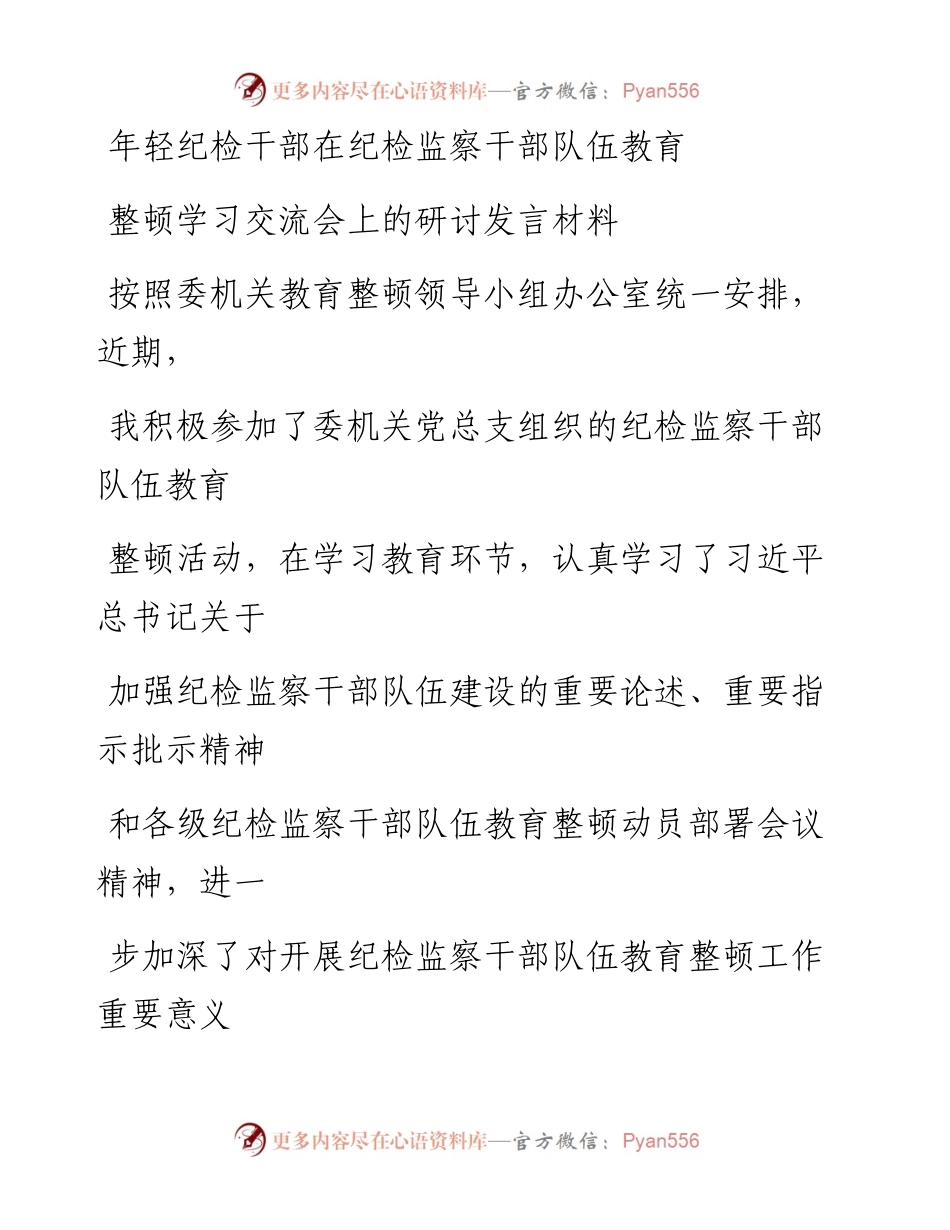 年轻纪检干部在纪检监察干部队伍教育整顿学习交流会上的研讨发言材料_1.docx_第1页