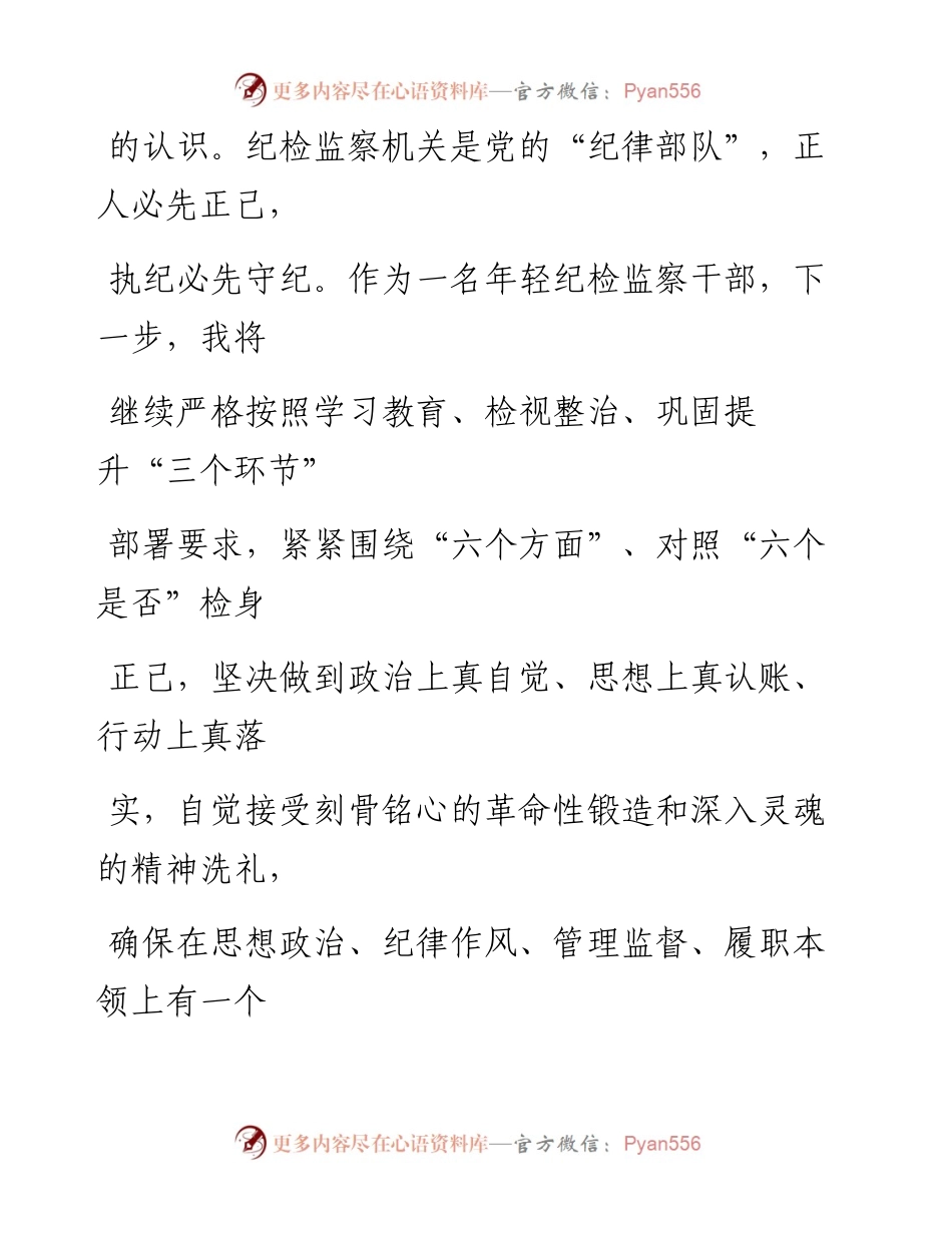 年轻纪检干部在纪检监察干部队伍教育整顿学习交流会上的研讨发言材料_1.docx_第2页
