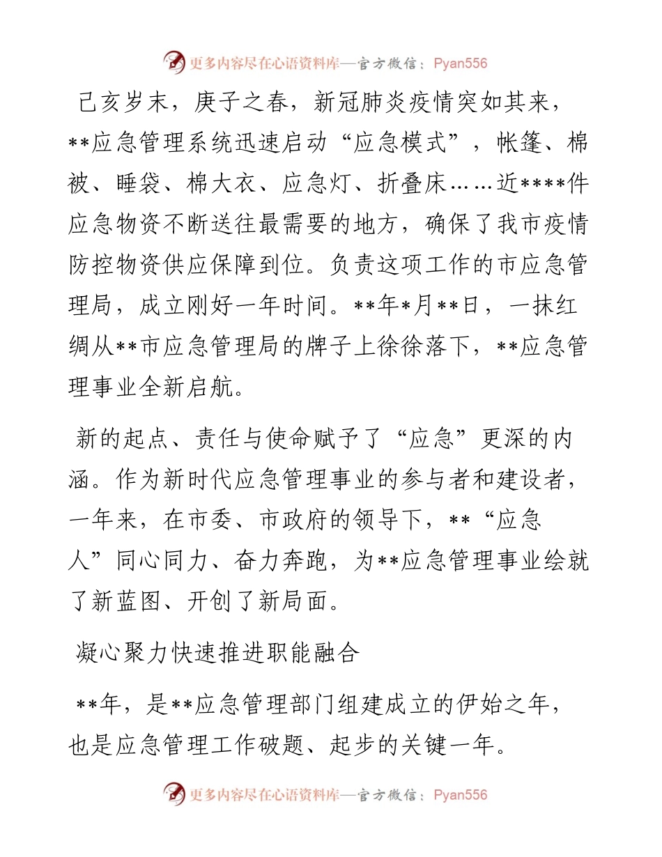 市应急管理局成立一周年工作综述.docx_第1页