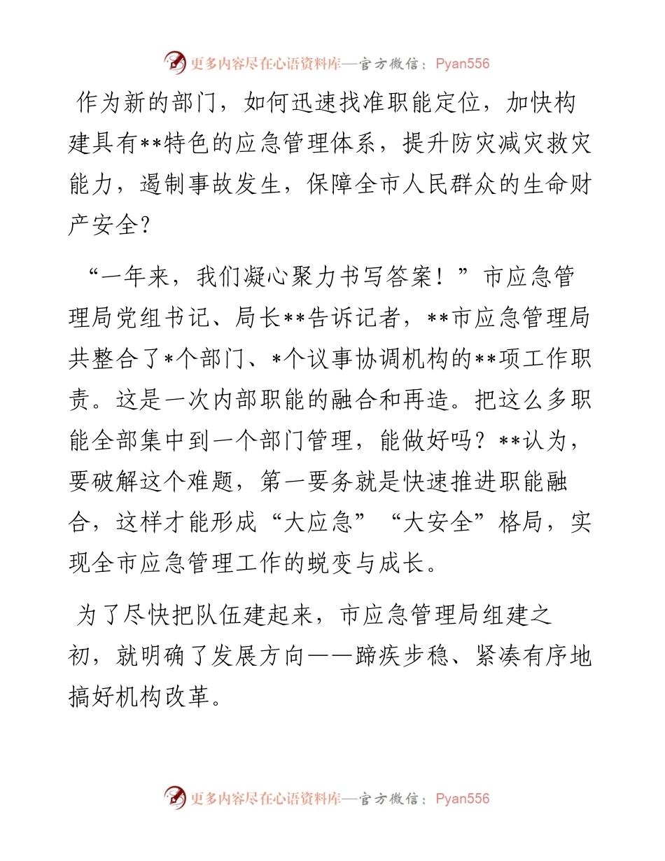 市应急管理局成立一周年工作综述.docx_第2页