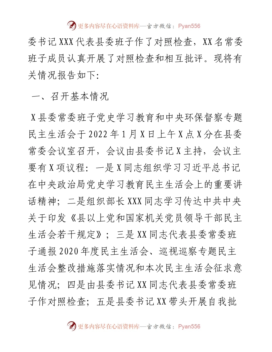 常委班子党史学习教育中央环保督察专题民主生活会情况的报告.docx_第2页
