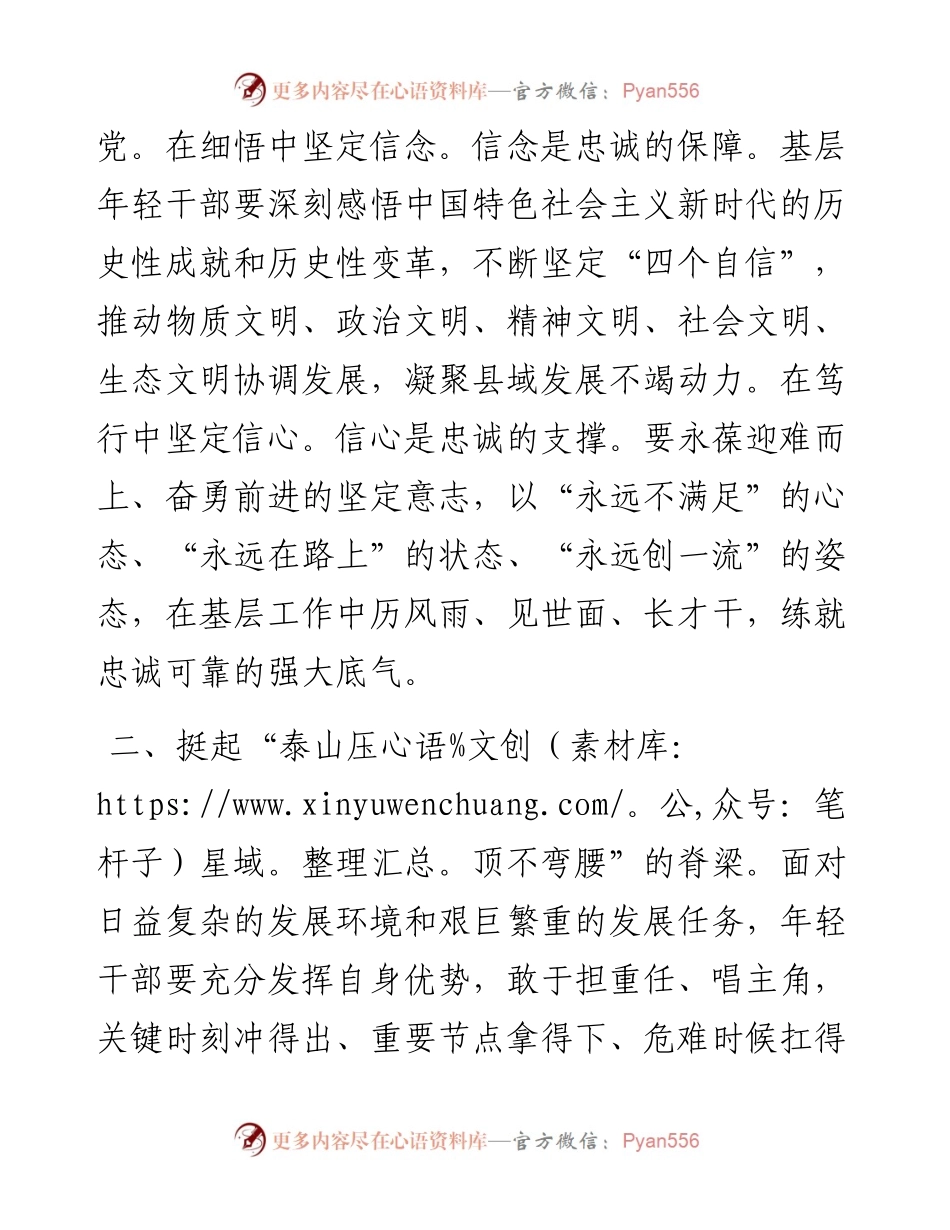 年轻干部座谈会发言提纲（县长）.docx_第2页