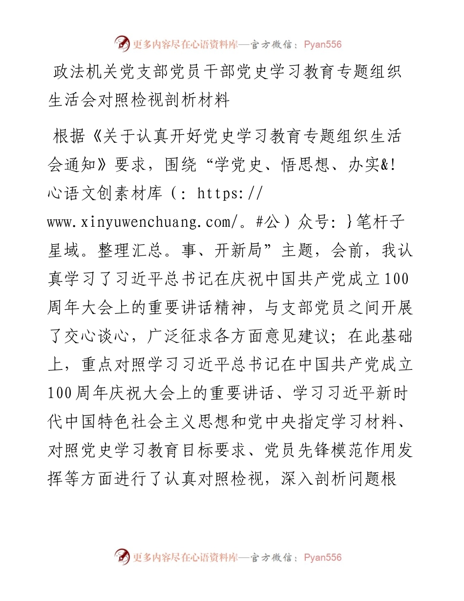 政法机关党支部党员干部党史学习教育专题组织生活会对照检视剖析材料.docx_第1页