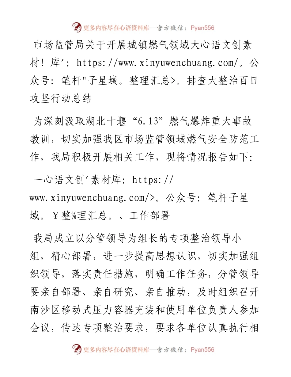 市场监管局关于开展城镇燃气领域大排查大整治百日攻坚行动总结.docx_第1页