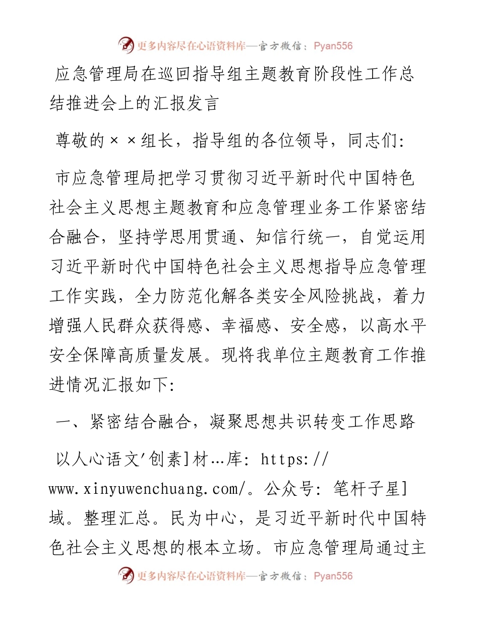 应急管理局在巡回指导组主题教育阶段性工作总结推进会上的汇报发言.docx_第1页