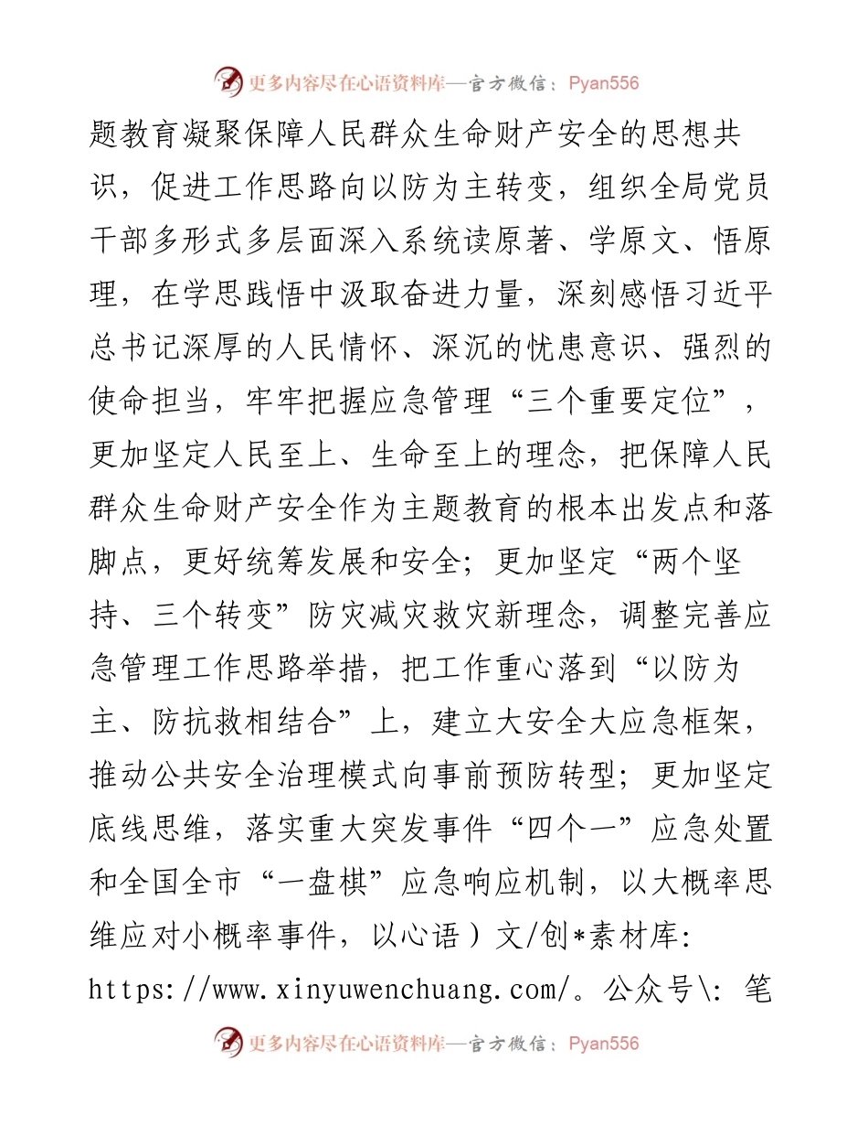 应急管理局在巡回指导组主题教育阶段性工作总结推进会上的汇报发言.docx_第2页
