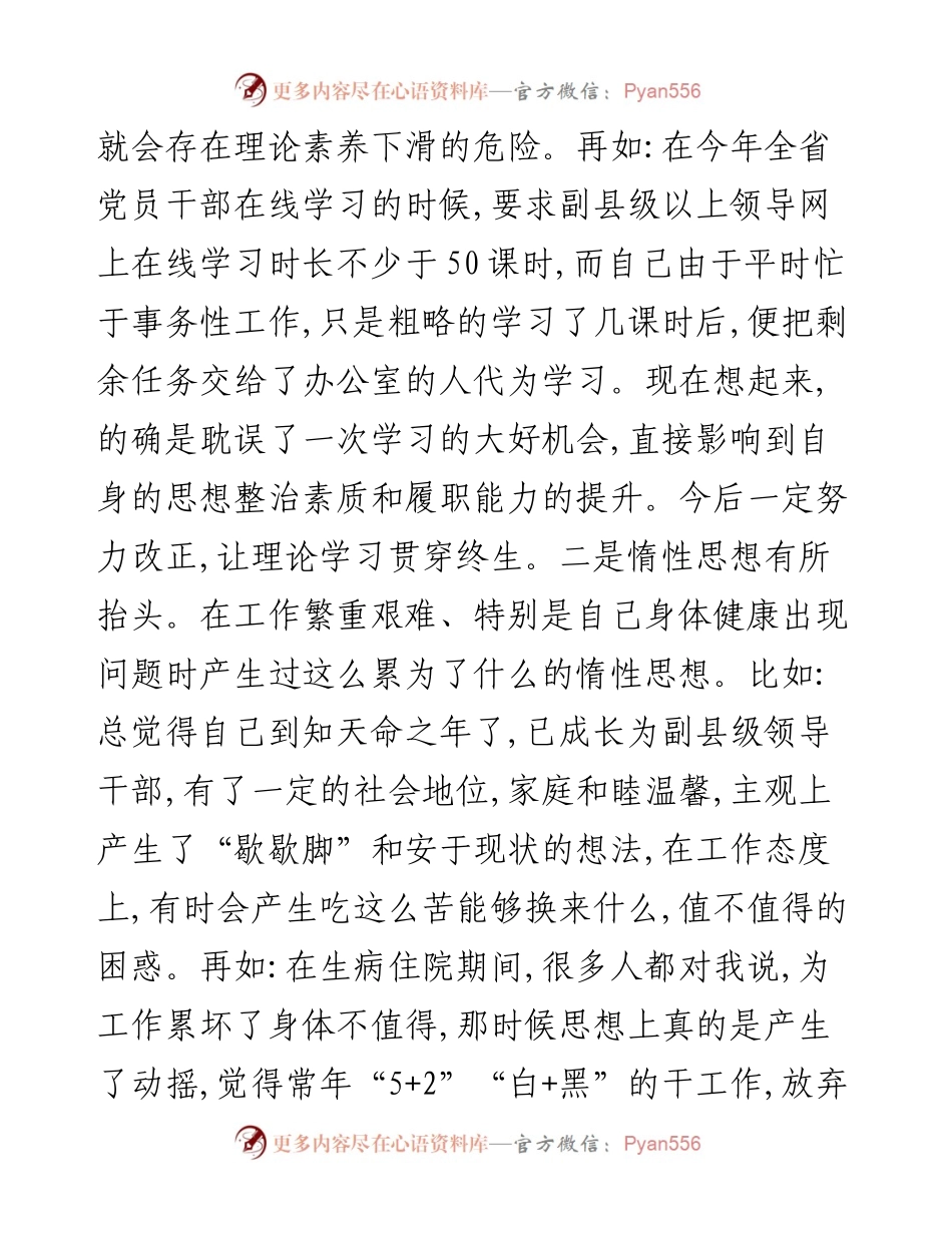 市常委、常务副市长专题民主生活会发言提纲.docx_第2页
