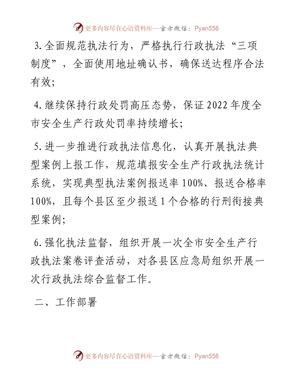 应急管理局度安全生产行政执法监督工作要点.docx_第2页