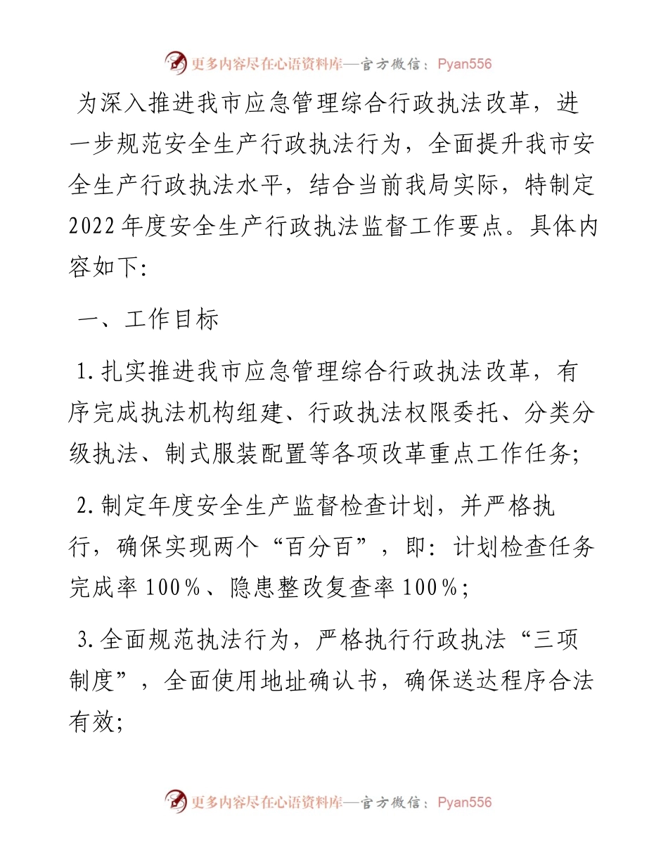 应急管理局度安全生产行政执法监督工作要点(1).docx_第1页