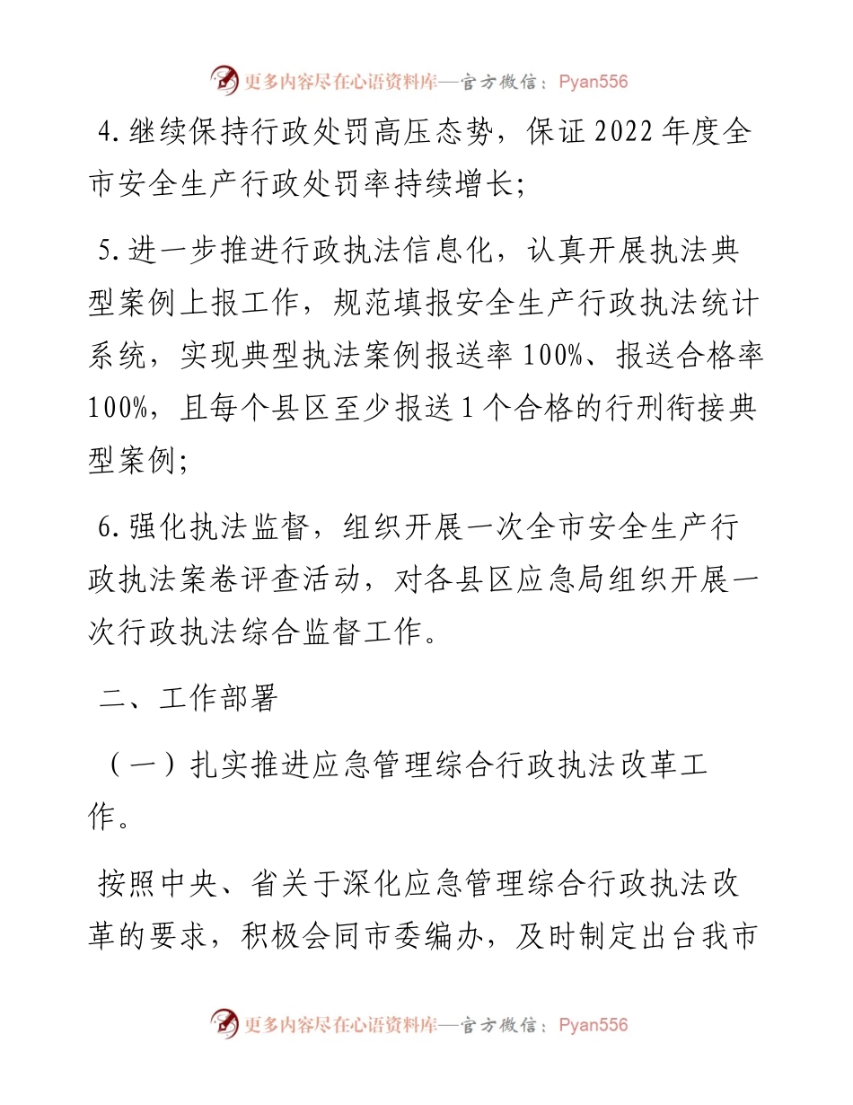 应急管理局度安全生产行政执法监督工作要点(1).docx_第2页