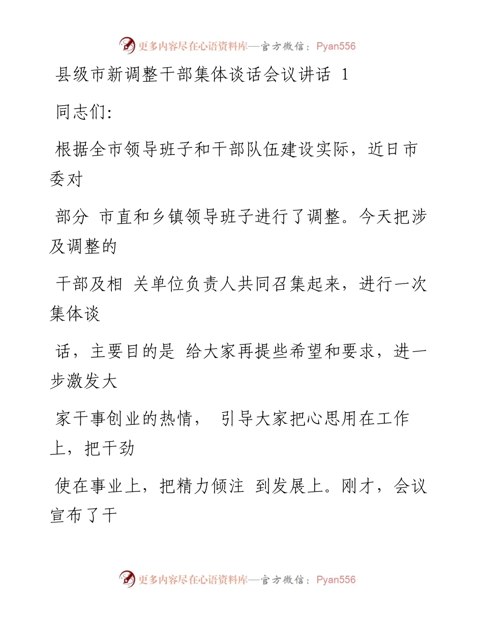 文汇系列1686--新调整干部集体谈话会议讲话汇编.docx_第1页
