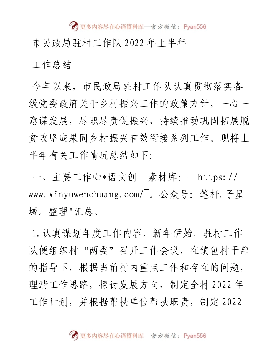 市民政局驻村工作队上半年工作总结.docx_第1页