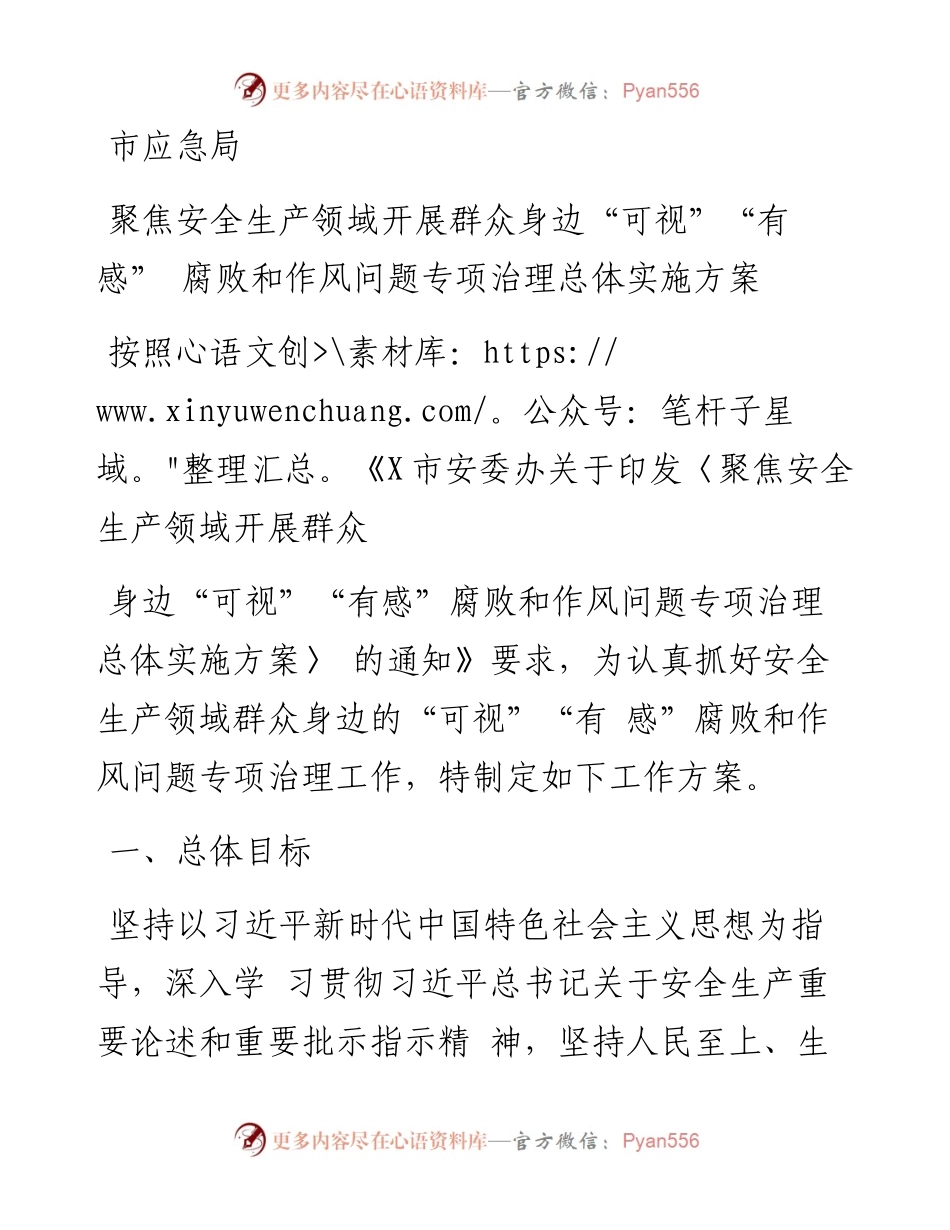 市应急局聚焦安全生产领域开展群众身边“可视”“有感” 腐败和作风问题专项治理总体实施方案.docx_第1页