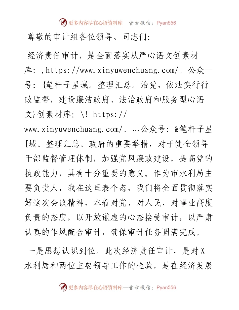 市水利局经济责任审计表态发言.docx_第1页