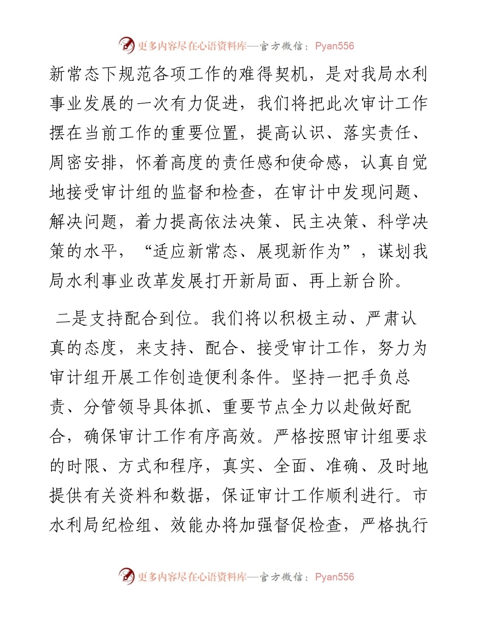市水利局经济责任审计表态发言.docx_第2页