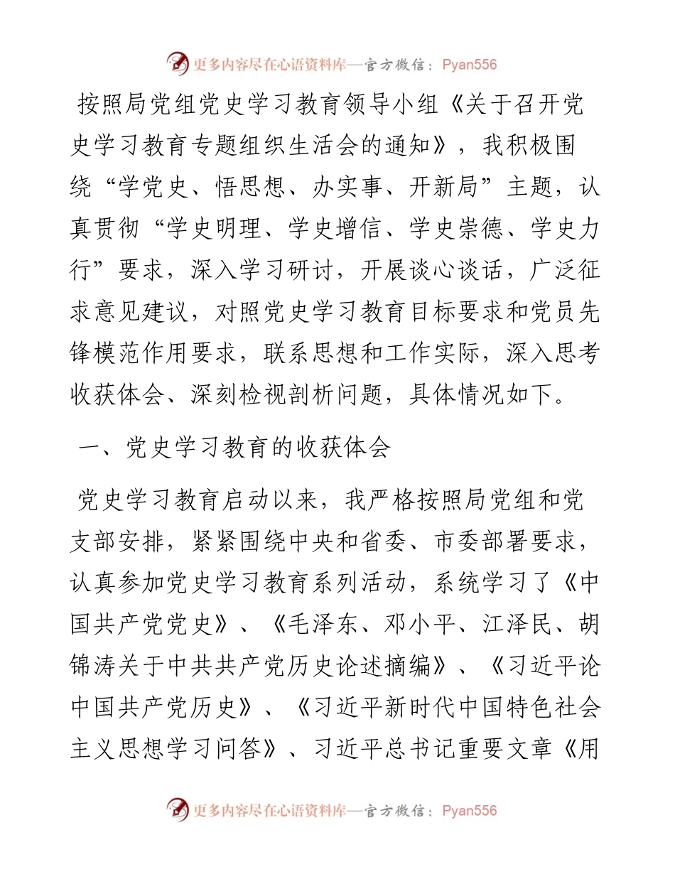 市城管局副局长党史教育专题组织生活会发言提纲.docx_第1页