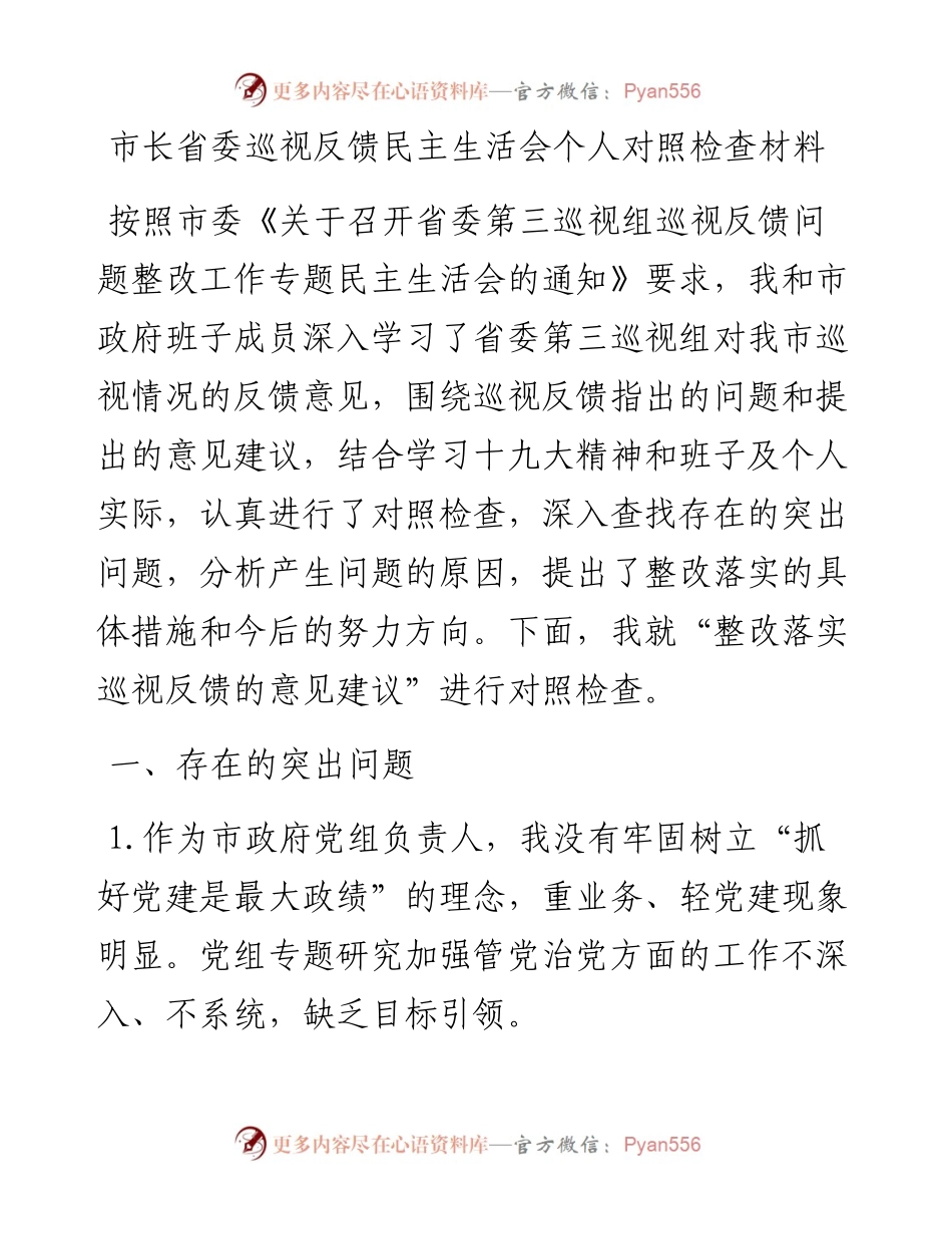 市长省委巡视反馈民主生活会个人对照检查材料.docx_第1页