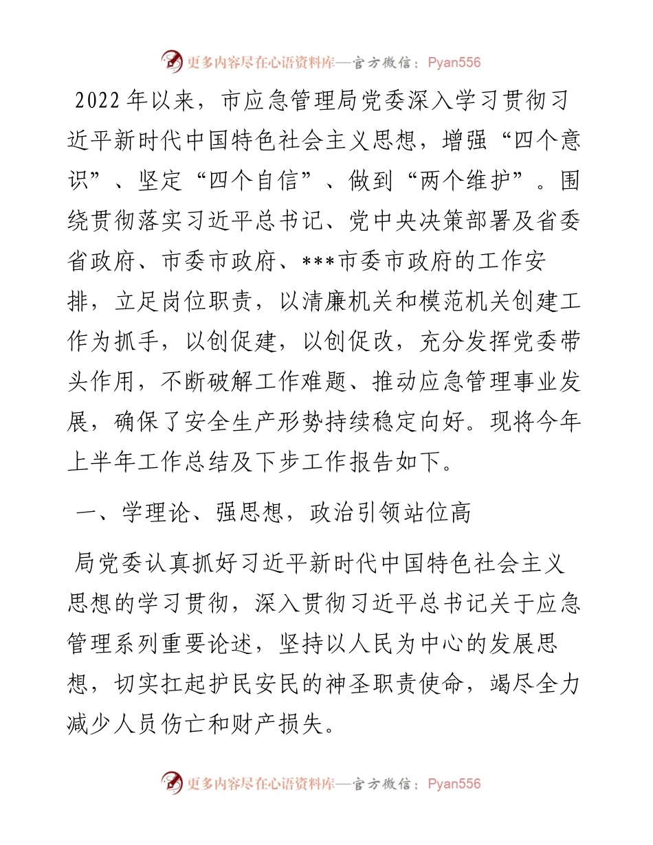 应急管理局上半年工作总结（市级）.docx_第1页