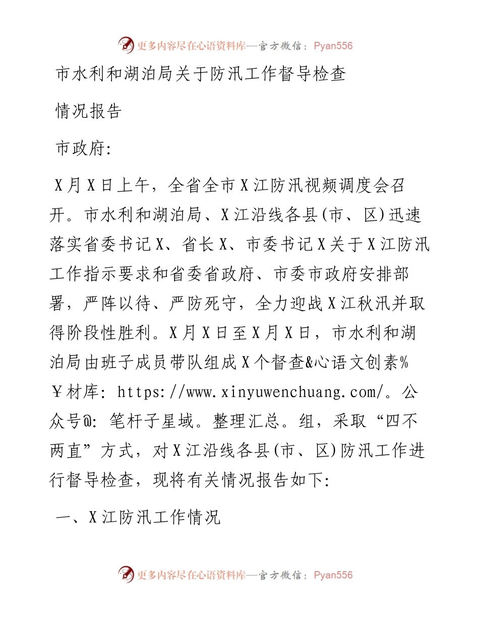 市水利和湖泊局关于防汛工作督导检查情况报告.docx_第1页