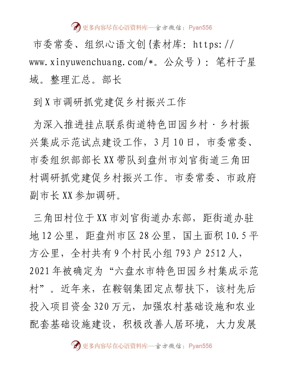市委常委、组织部长到X市调研抓党建促乡村振兴工作​.docx_第1页